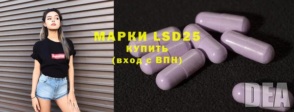 PSILOCYBIN Ладушкин
