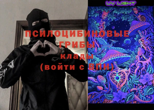 PSILOCYBIN Ладушкин