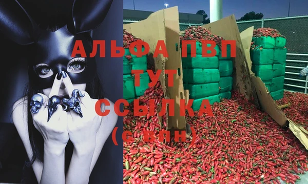 PSILOCYBIN Ладушкин