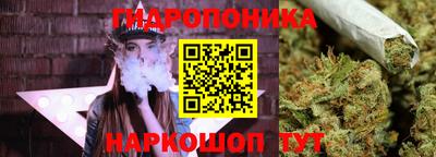спайс Аргун