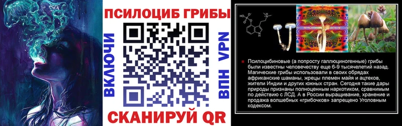 Псилоцибиновые грибы GOLDEN TEACHER  omg сайт  Аша  как найти закладки 