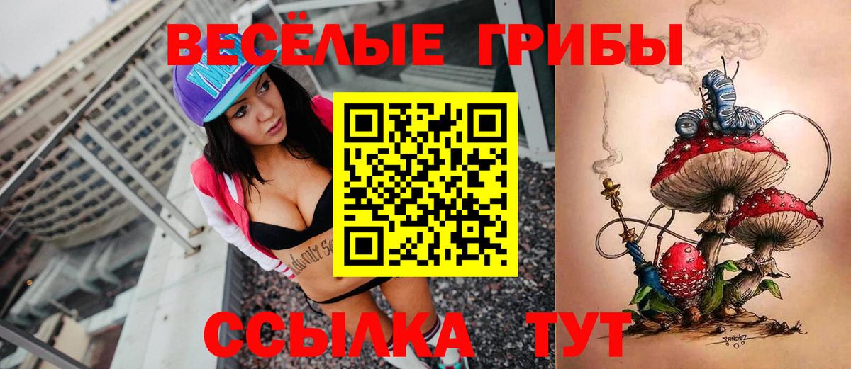 Псилоцибиновые грибы мицелий Аша