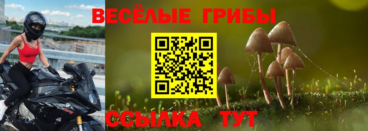 Аша  где купить наркоту  Вход с VPN  Галлюциногенные грибы Cubensis  Галлюциногенные грибы мухоморы 